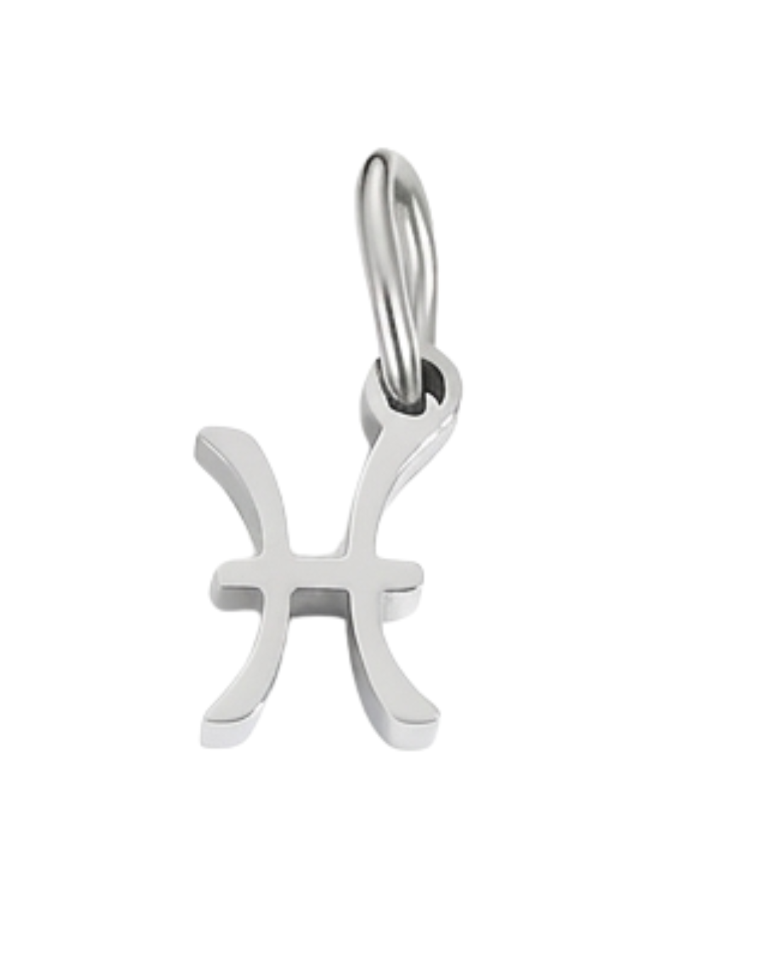 Charm ZODIACO SILVER