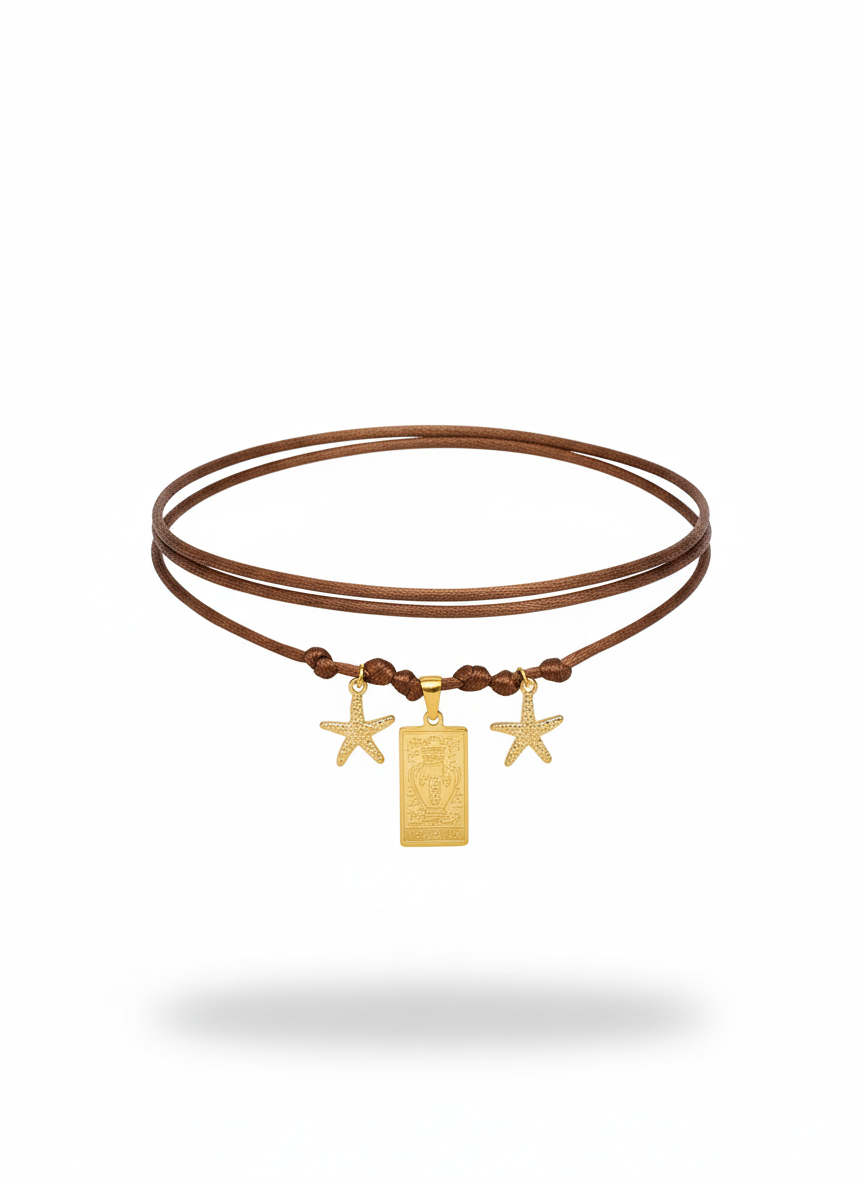 Choker marrone con stelline gold e medaglia zodiacale Acquario
